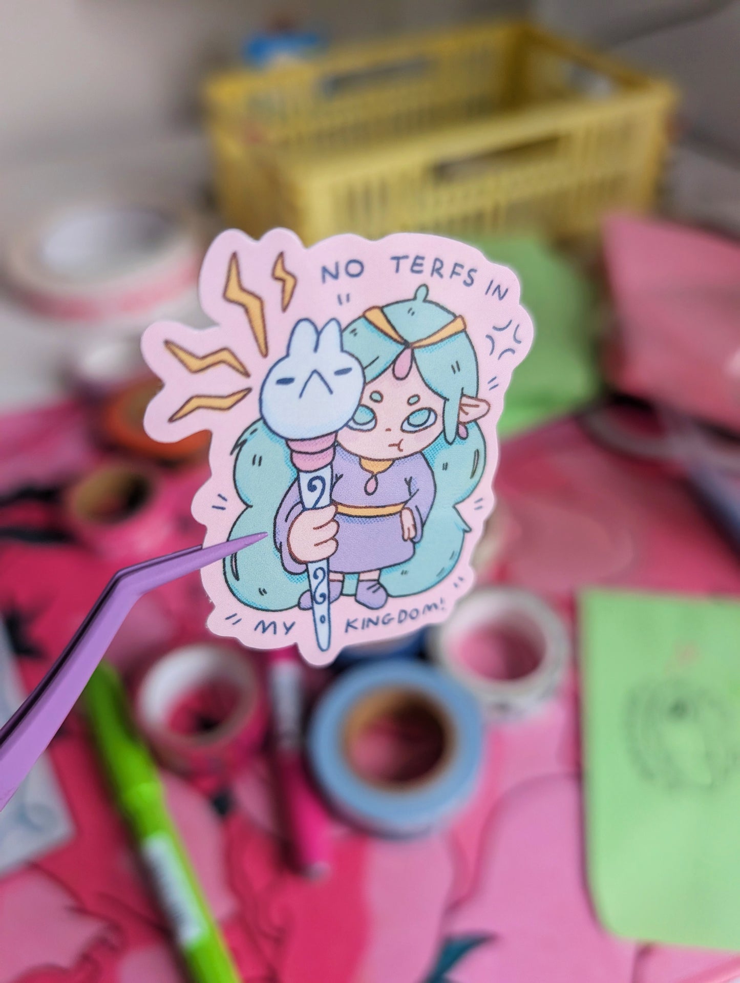 no terfs in my kingdom sticker