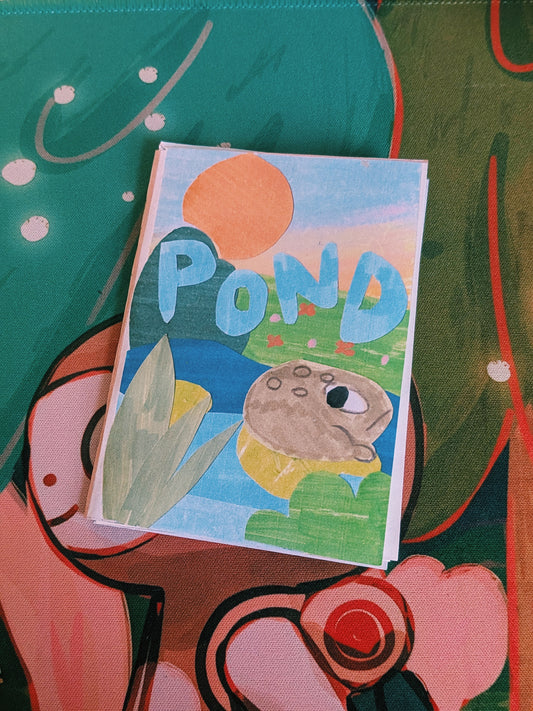pond zine