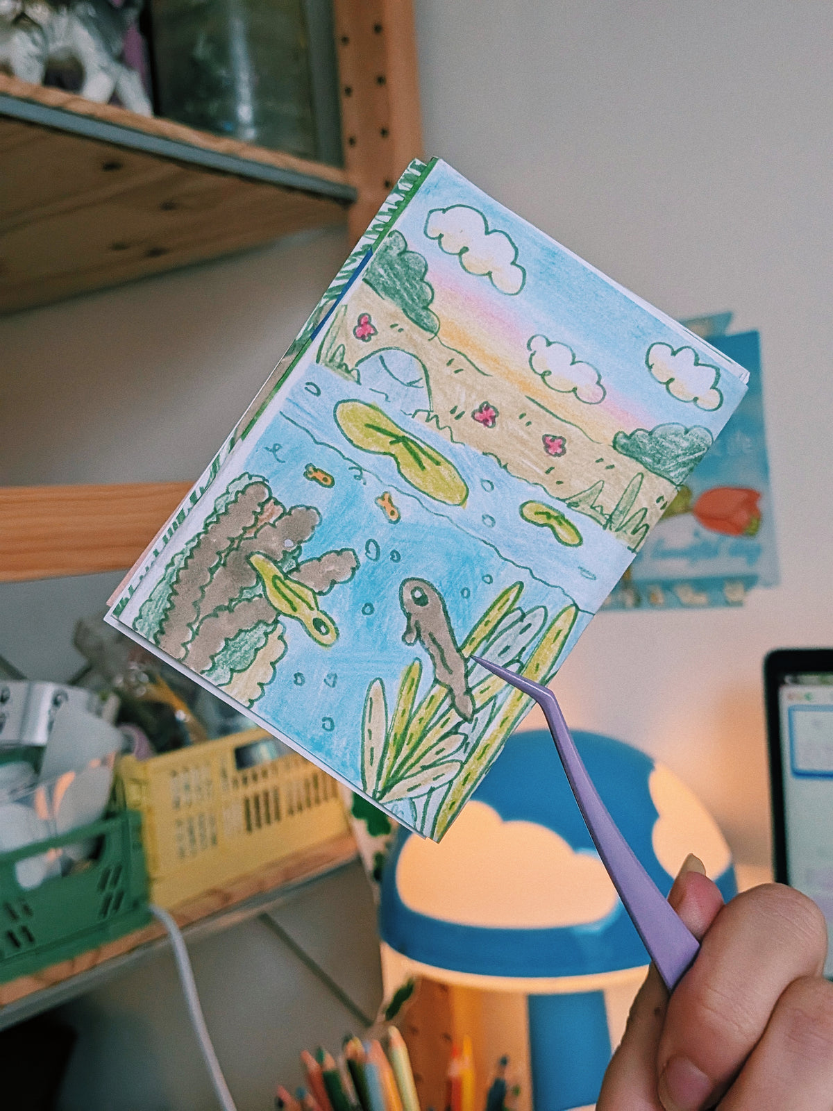 pond zine