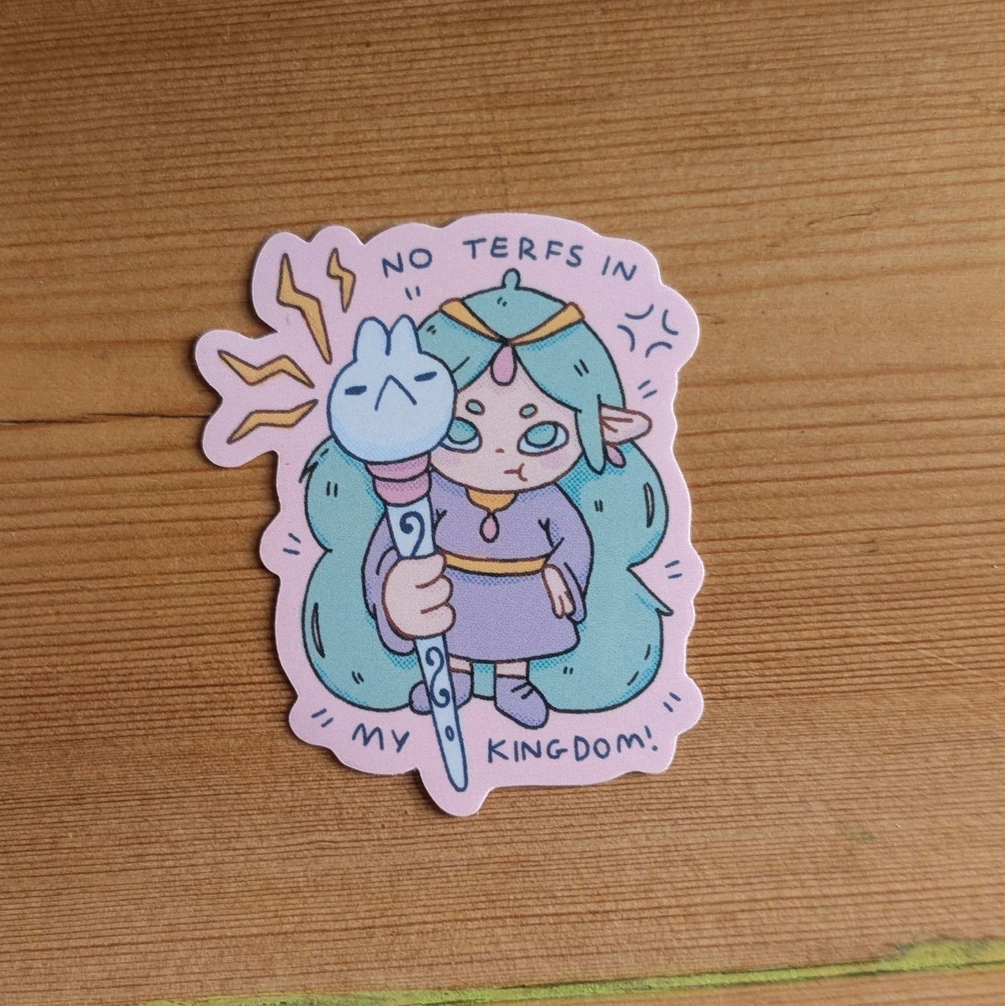 no terfs in my kingdom sticker