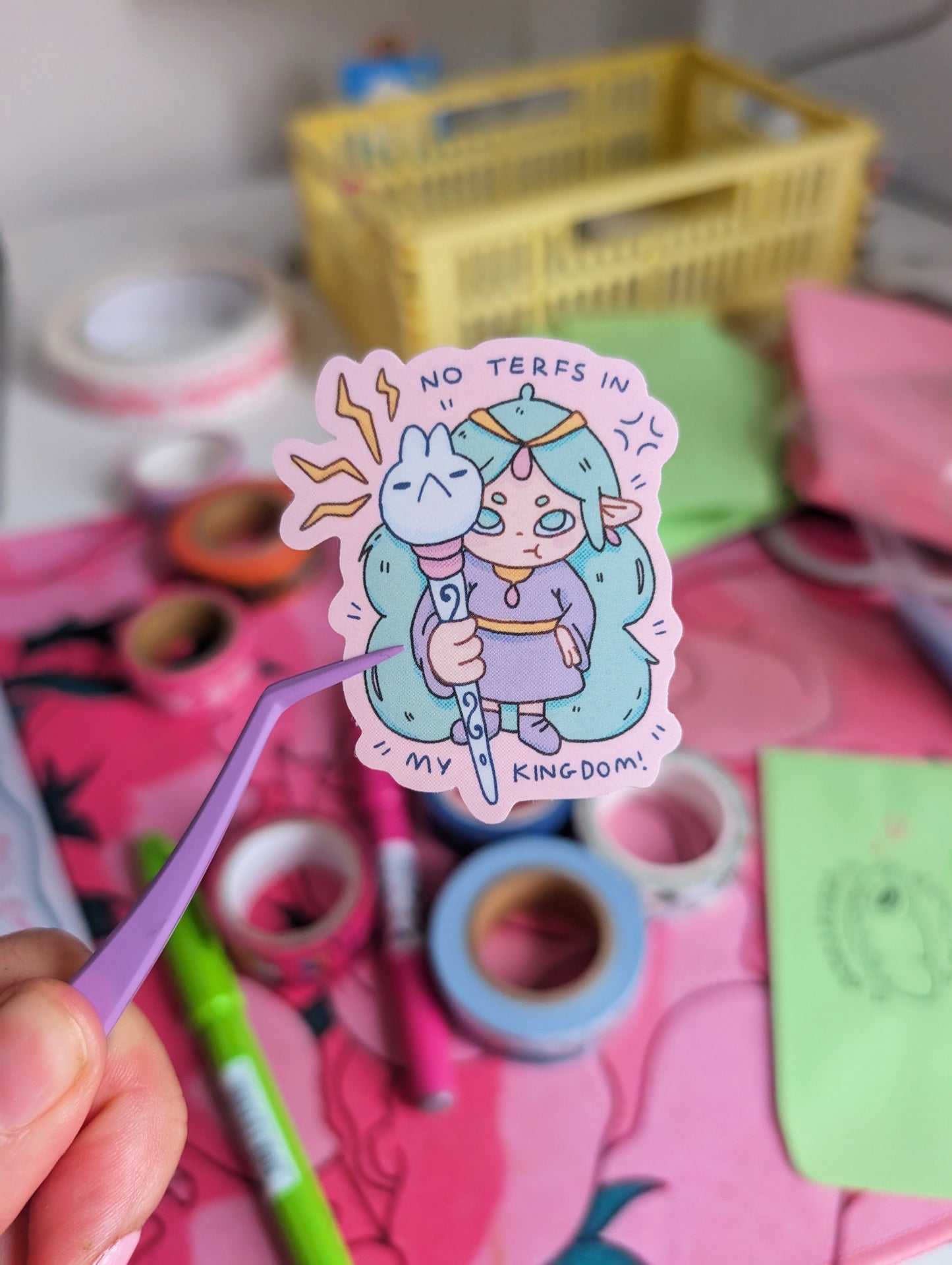 no terfs in my kingdom sticker
