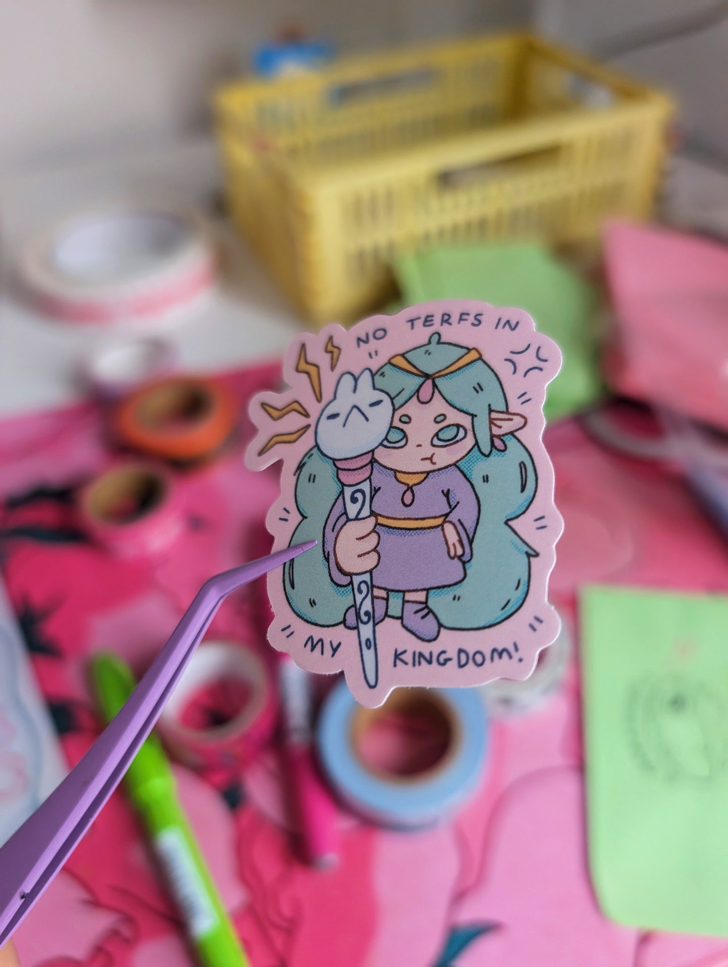 no terfs in my kingdom sticker
