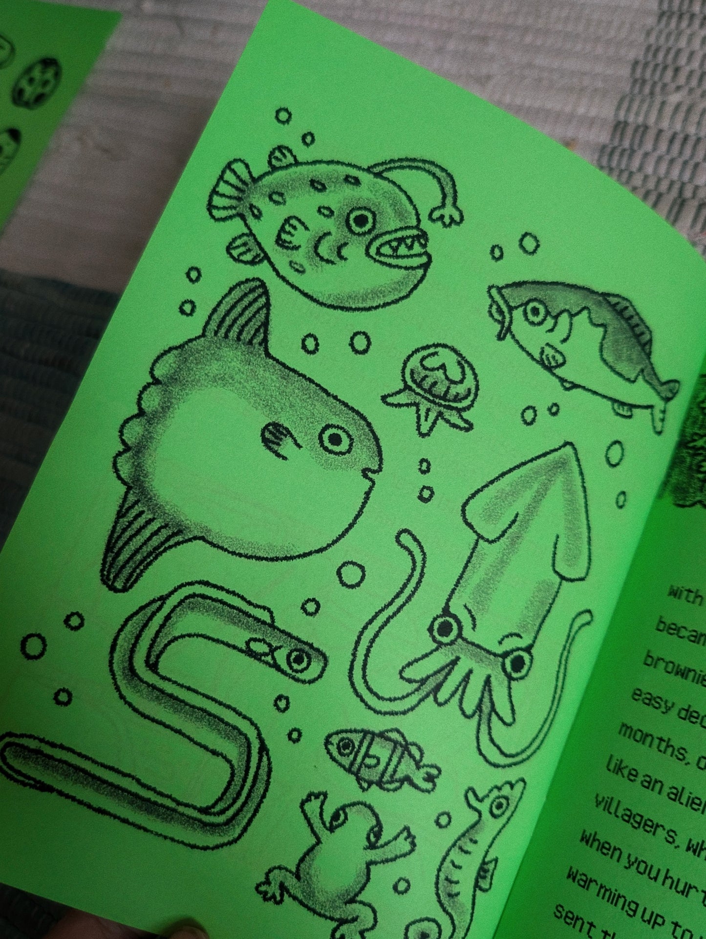 wild world zine