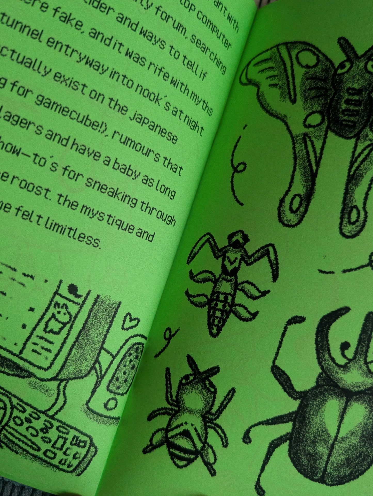 wild world zine