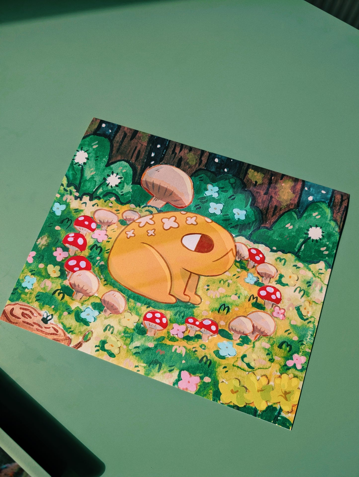 fairy circle print 20x25cm