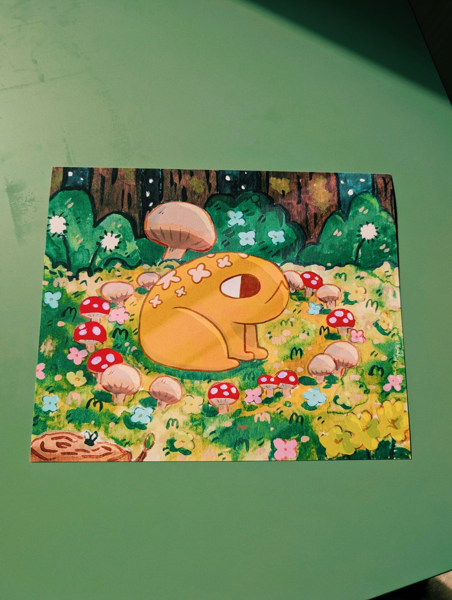 fairy circle print 20x25cm