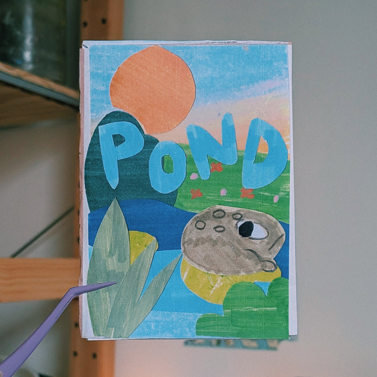 pond zine